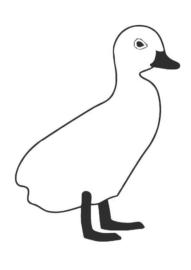 andunge Målarbild andunge