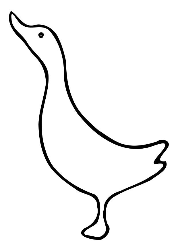 anka Målarbild anka