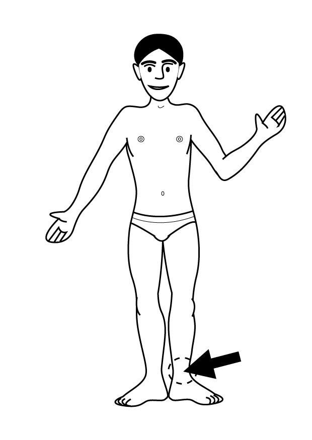 ankel Målarbild ankel