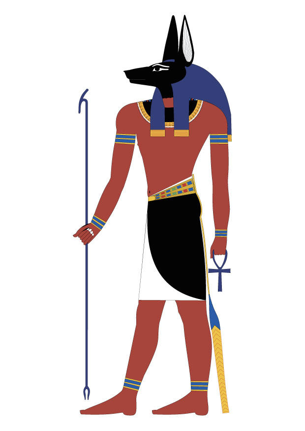 anubis bild anubis