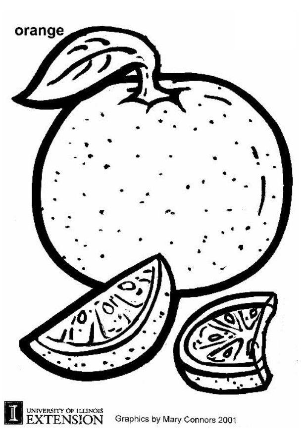 apelsin Målarbild apelsin