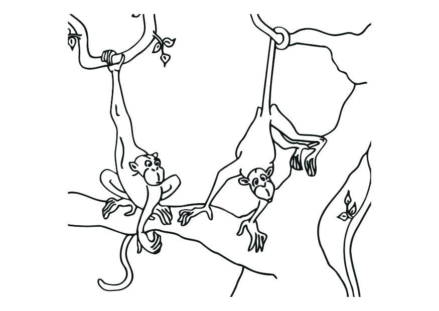 Målarbild apor