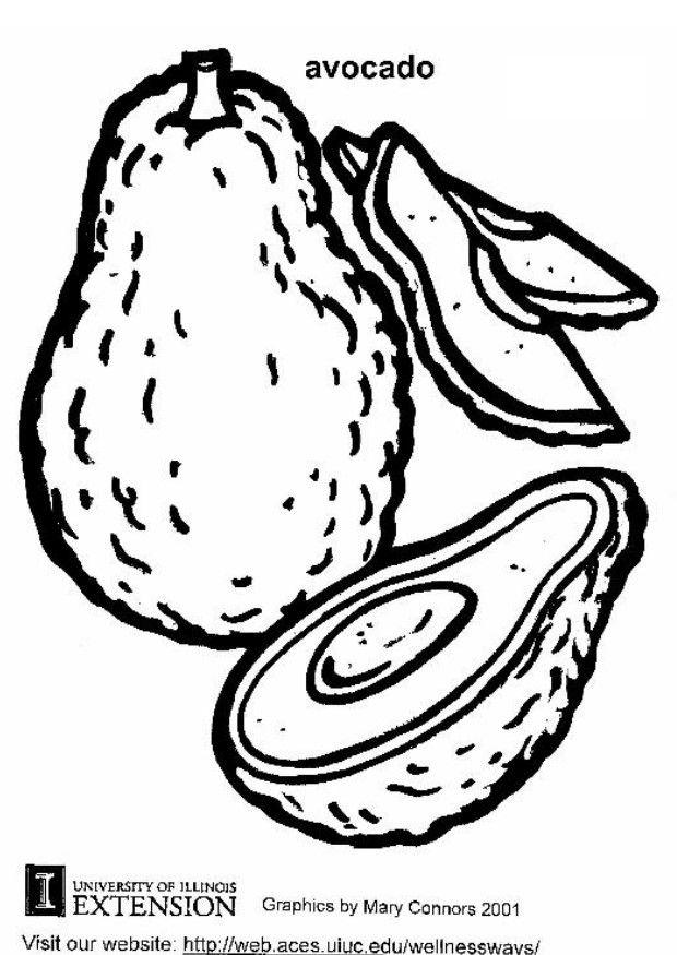 avokado Målarbild avokado