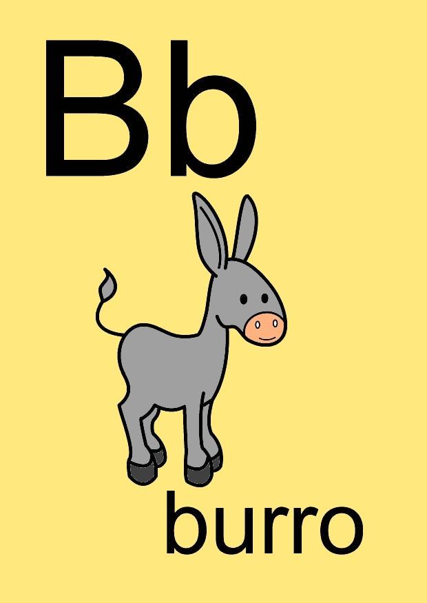 b bild b