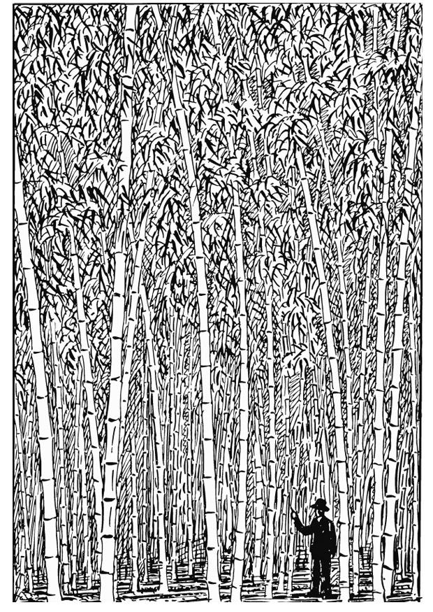 bambu Målarbild bambu