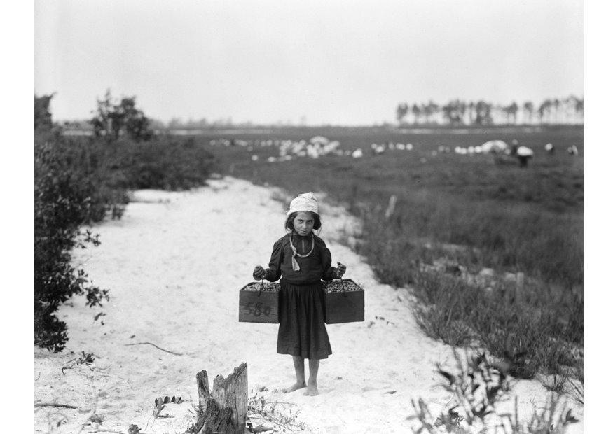 barnarbete 1910 Foto barnarbete 1910