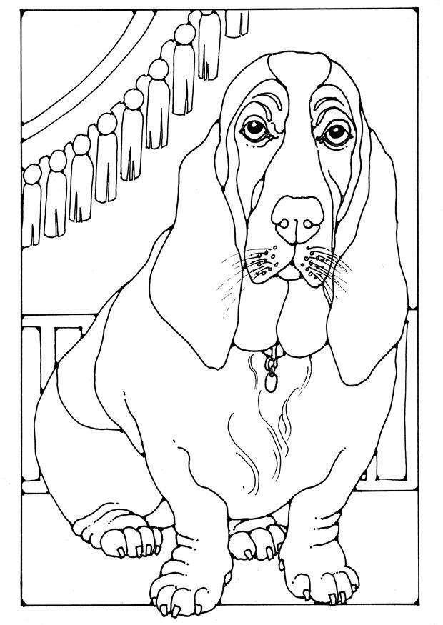 basset Målarbild basset