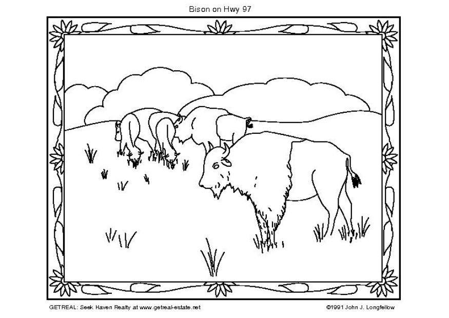 bisonoxe Målarbild bisonoxe