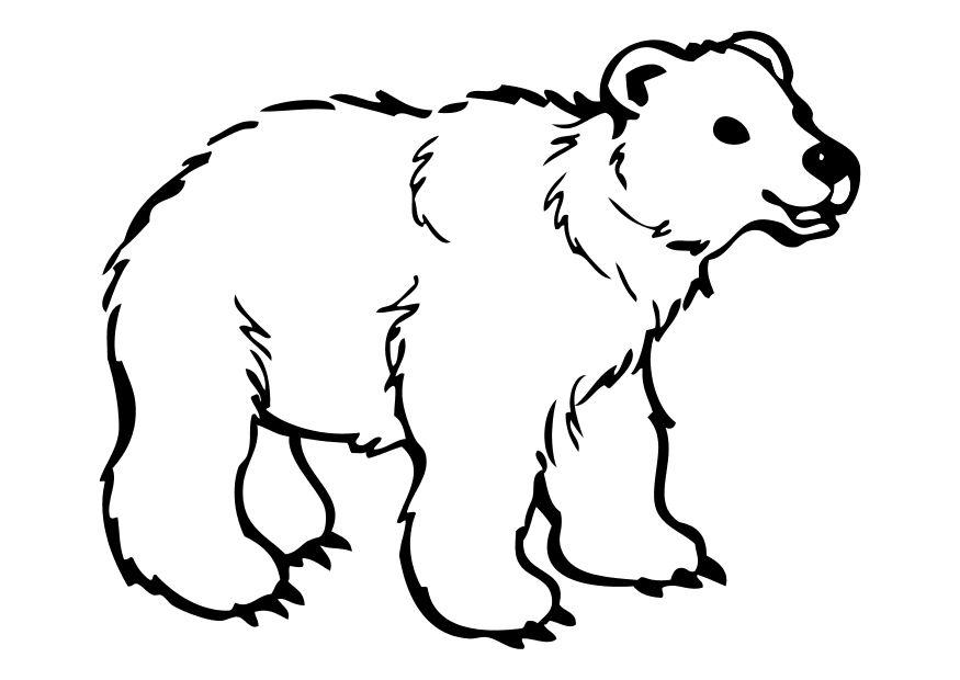 Målarbild bjA¶rn
