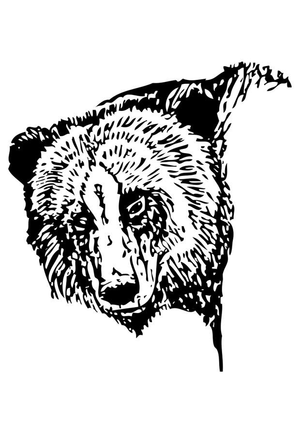 Målarbild bjA¶rn