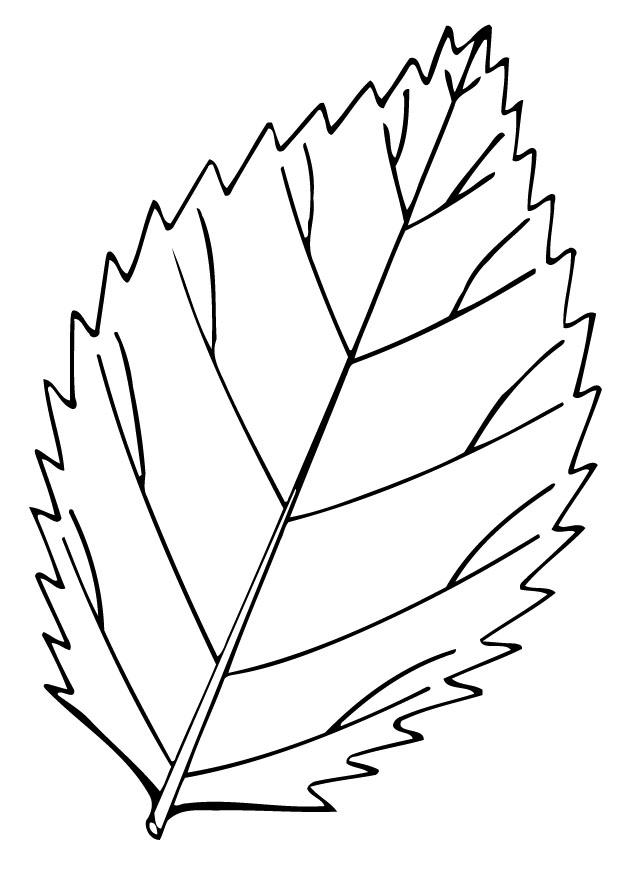 Målarbild blad