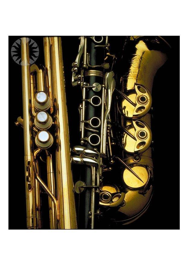 blA¥sinstrument Foto blA¥sinstrument