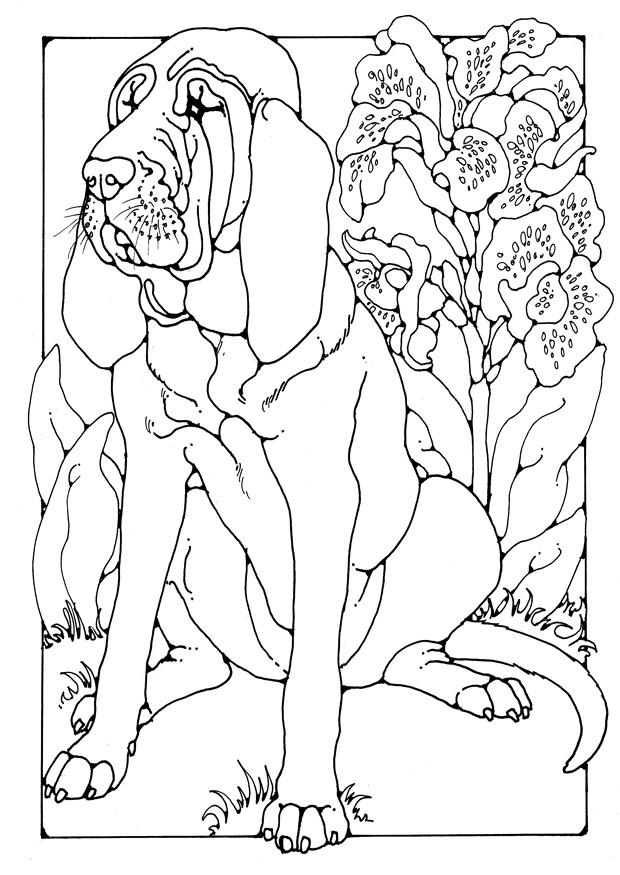 Målarbild blodhund