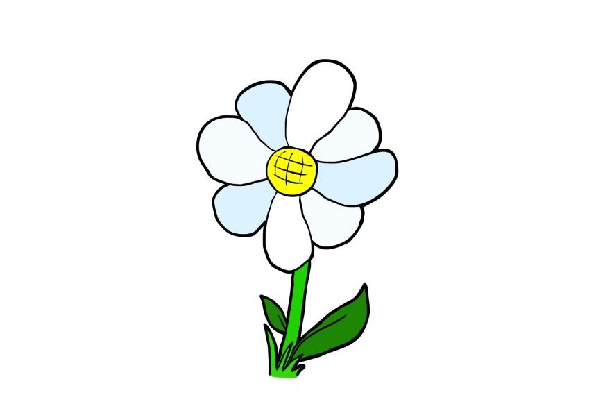 blomma bild blomma