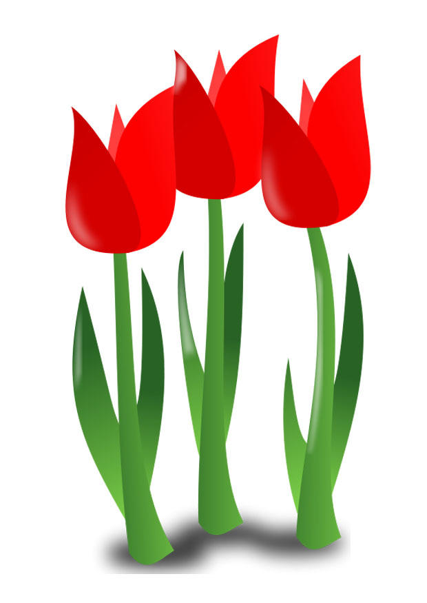 bild blommor