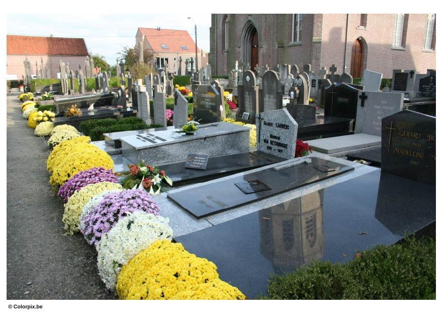 Foto blommor pA¥ kyrkogA¥rd