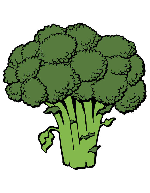 broccoli bild broccoli