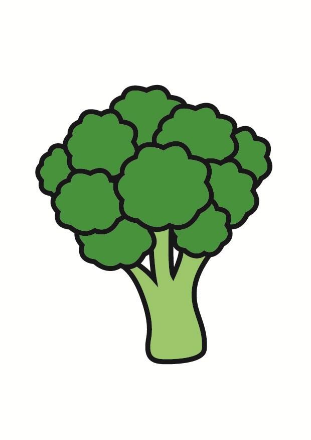 broccoli bild broccoli