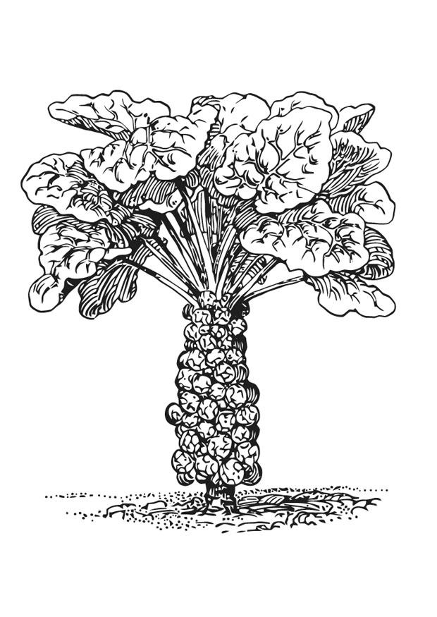 Målarbild brysselkA¥l