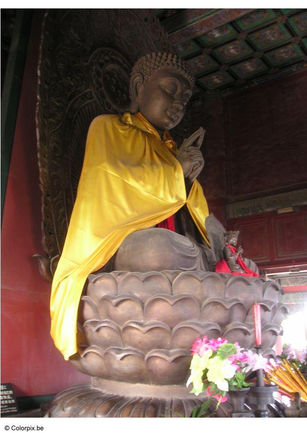 buddha i tempel Foto buddha i tempel