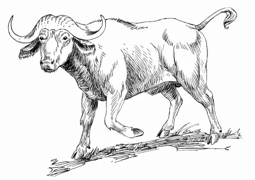 buffel Målarbild buffel