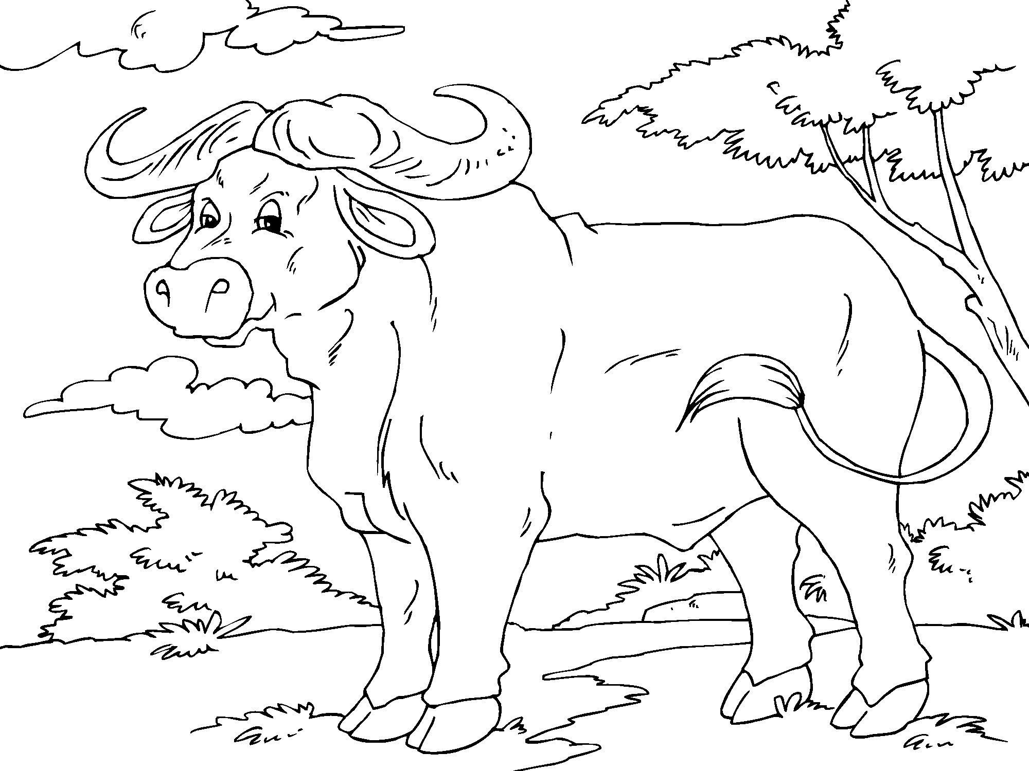 Målarbild buffel