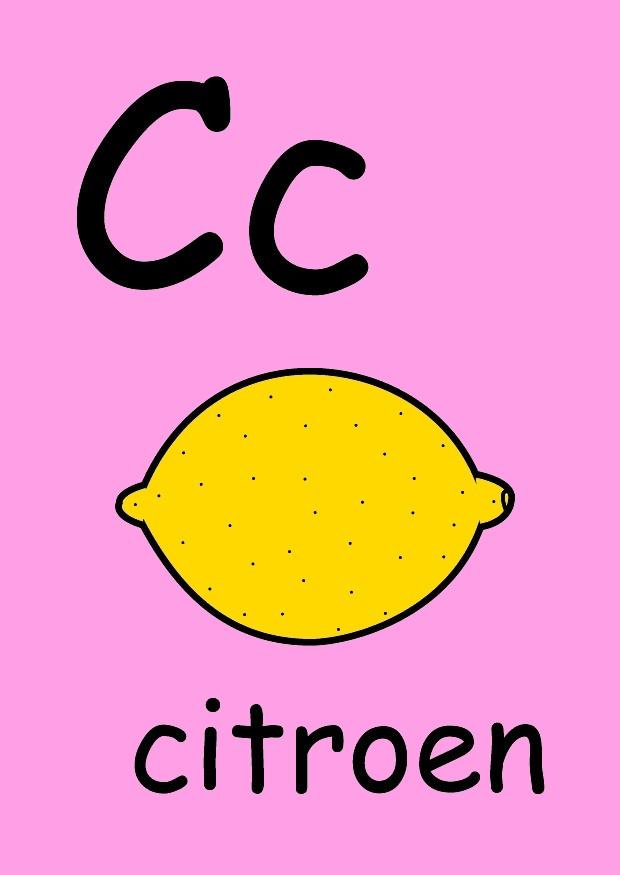 c bild c
