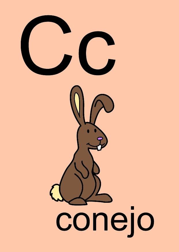 c bild c