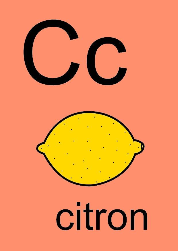 c bild c