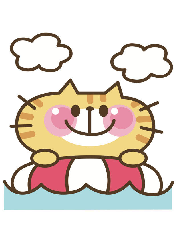 cat bild cat