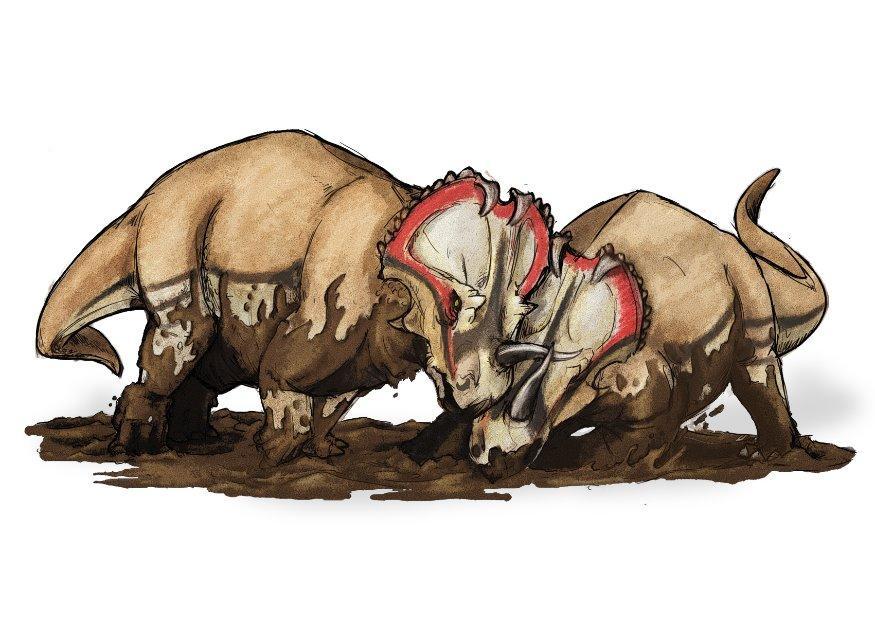 centrosaurus bild centrosaurus
