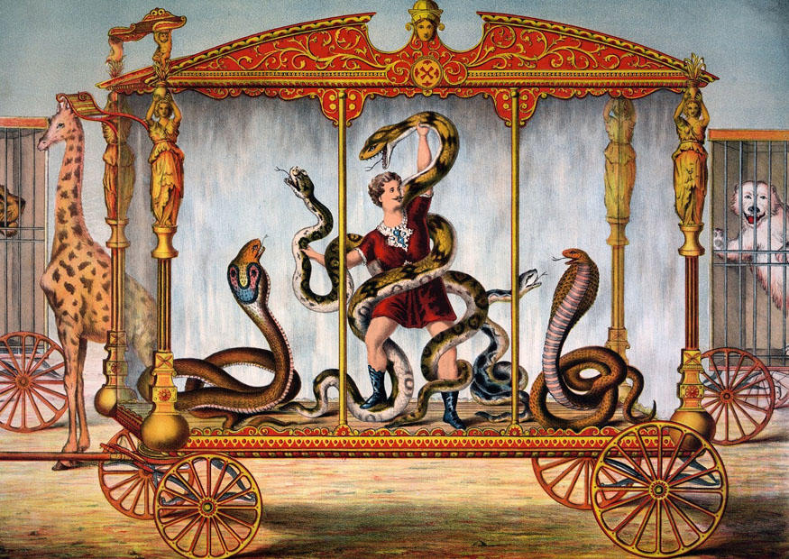 cirkus bild cirkus