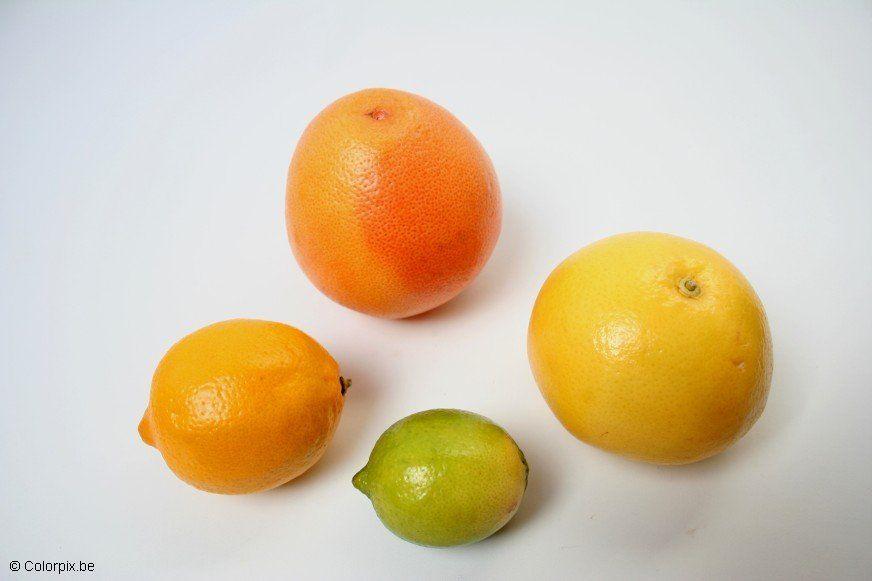 citrusfrukter Foto citrusfrukter
