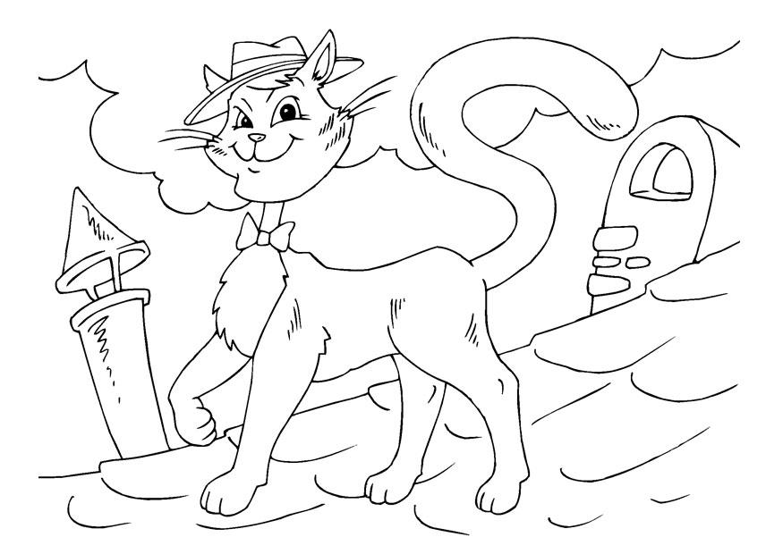 cool katt