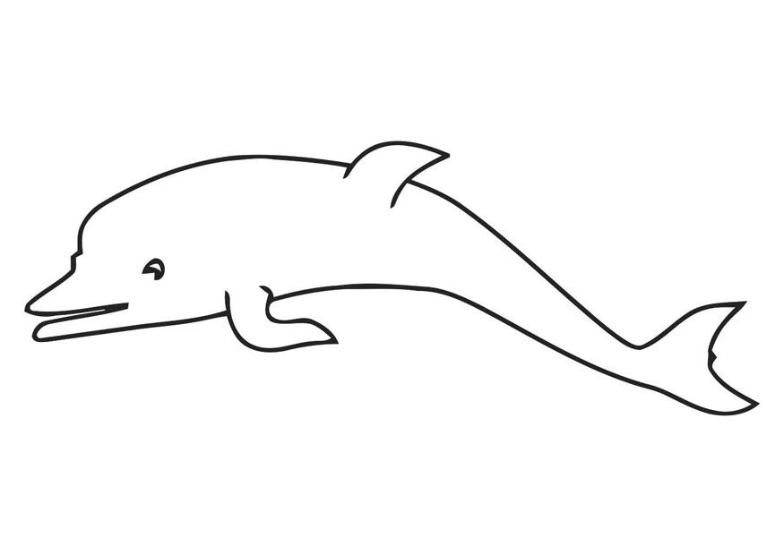 delfin Målarbild delfin