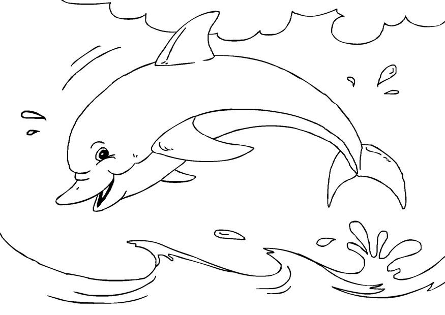 delfin Målarbild delfin