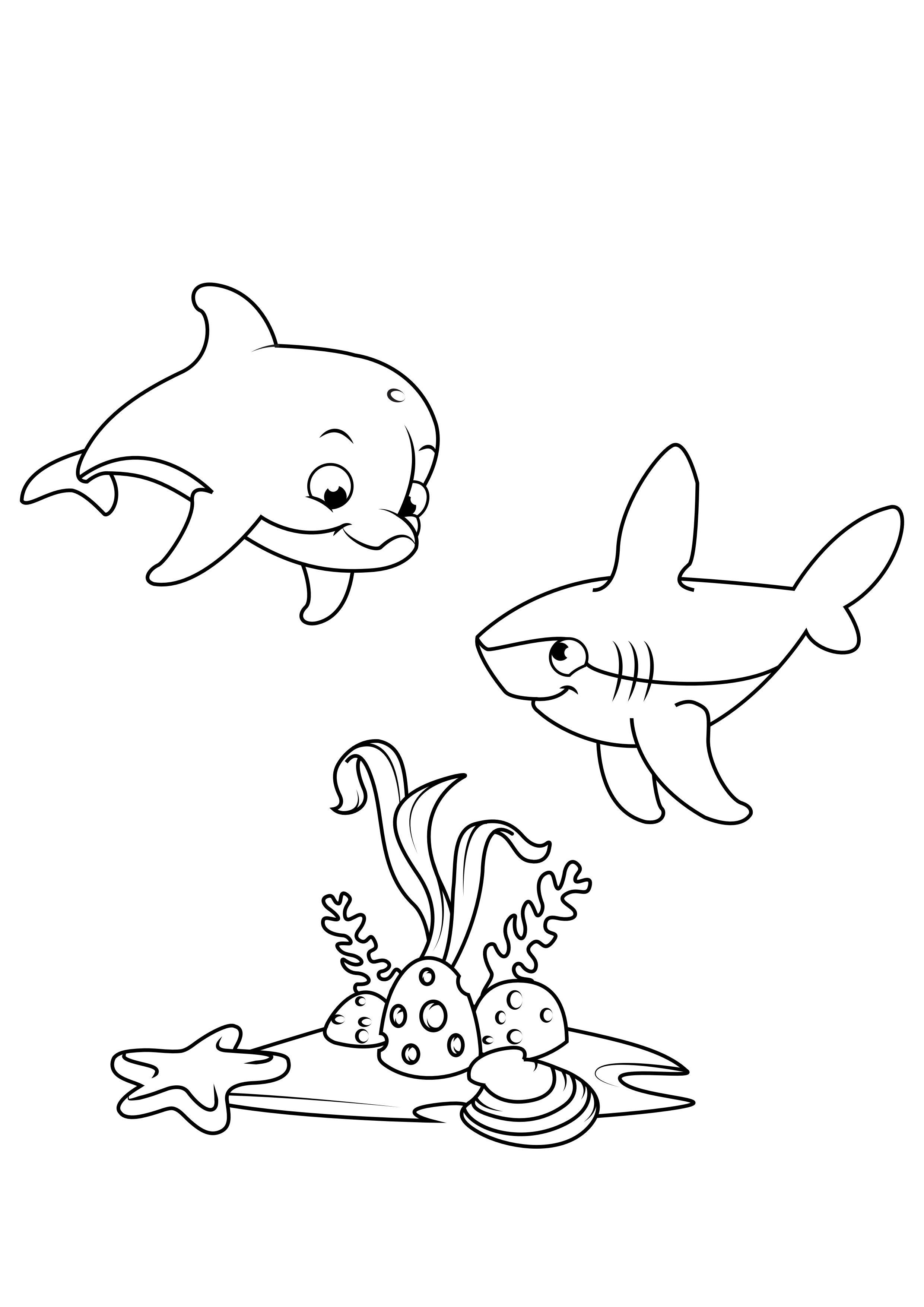 delfin och haj Målarbild delfin och haj