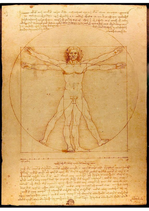 bild den vitruvianske mannen av leonardo da vinci