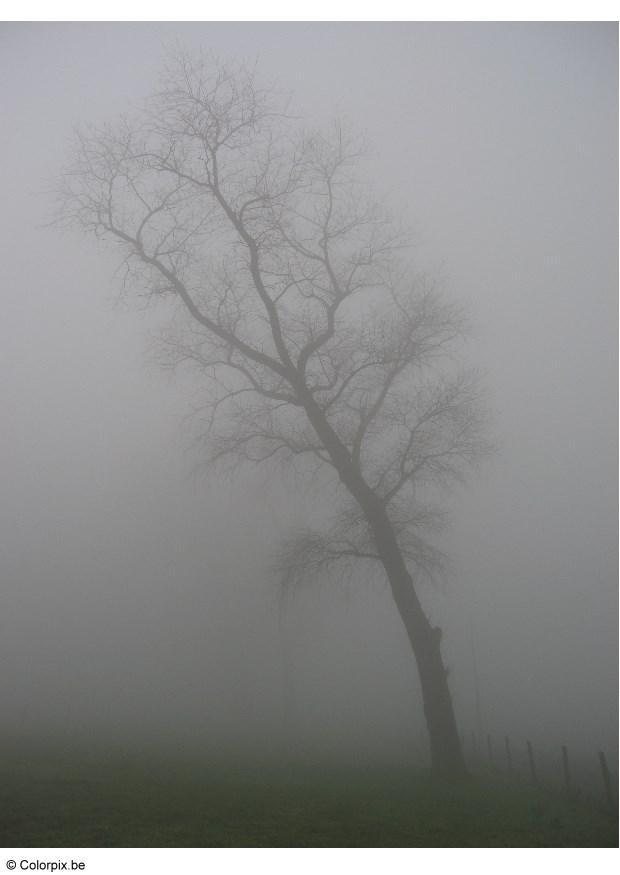 dimma Foto dimma