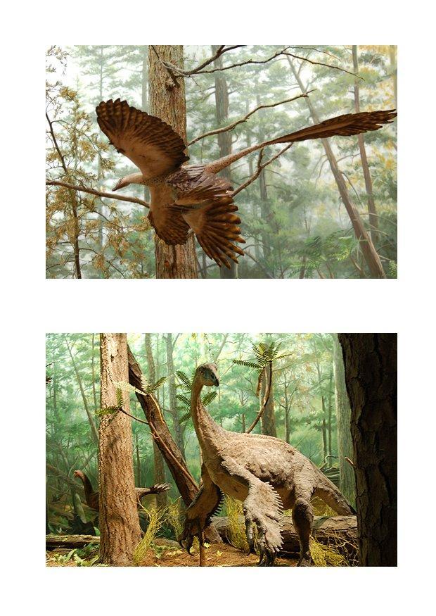 dinosaurier med fjA¤drar bild dinosaurier med fjA¤drar