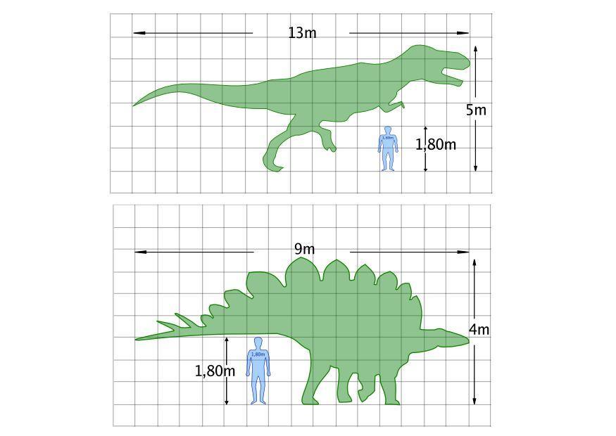 dinosauriers mA¥tt Målarbild dinosauriers mA¥tt