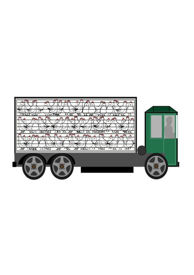 djurtransport bild djurtransport