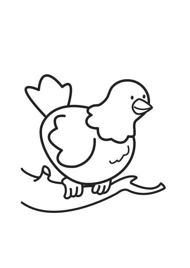 Målarbild duva