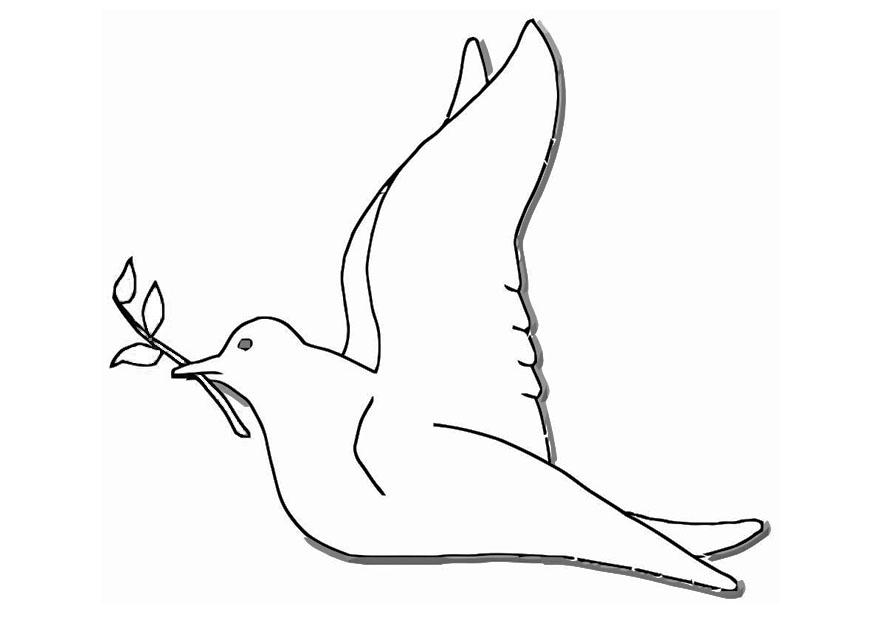 duva Målarbild duva