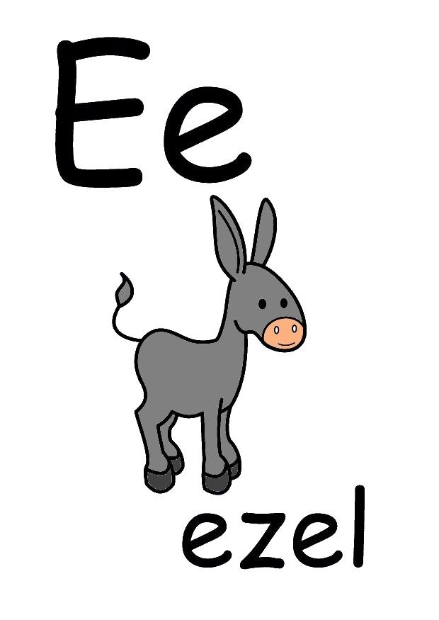 e bild e