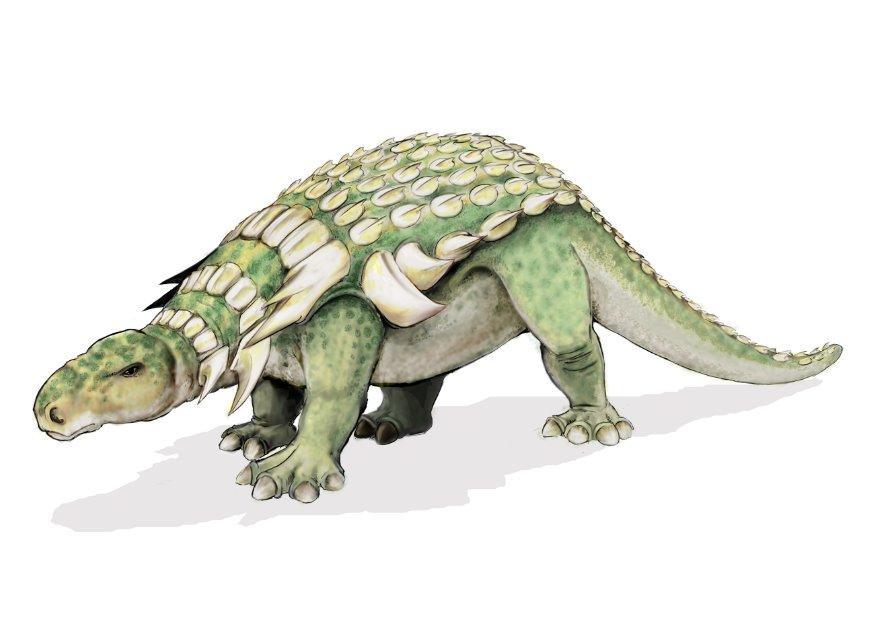 bild edmontonia dinosaurie
