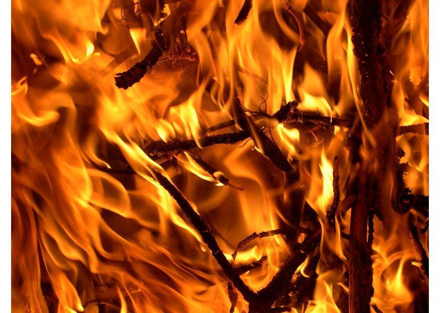 eld - brand Foto eld - brand