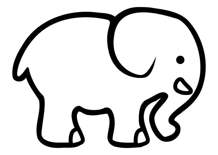 elefant Målarbild elefant