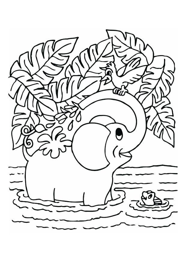 elefant Målarbild elefant