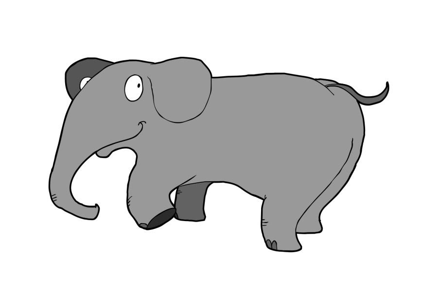 elefant bild elefant